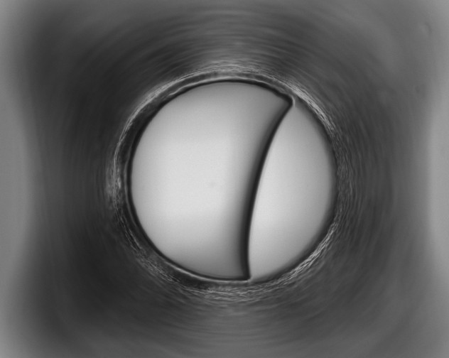 X0000098131070200804171054