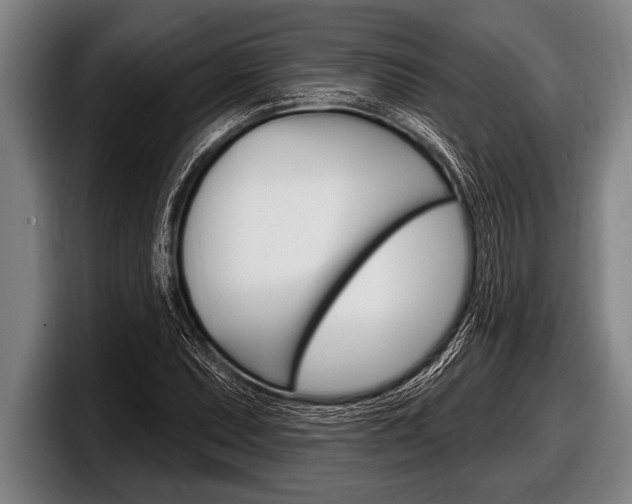 X0000098131071200804171054