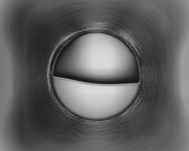 X0000098131072200804171054