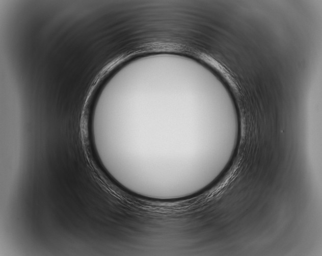 X0000098131074200804171054