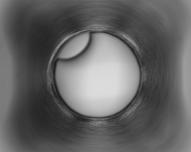 X0000098131075200804171054
