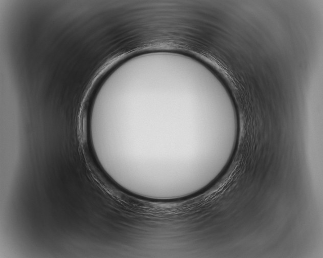 X0000098131078200804171054