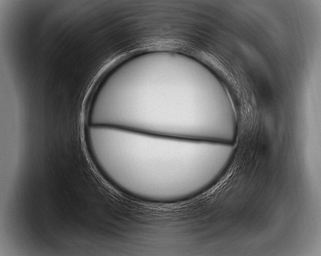 X0000098131079200804171054