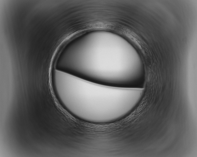 X0000098131080200804171054