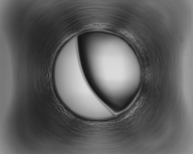 X0000098131081200804171054