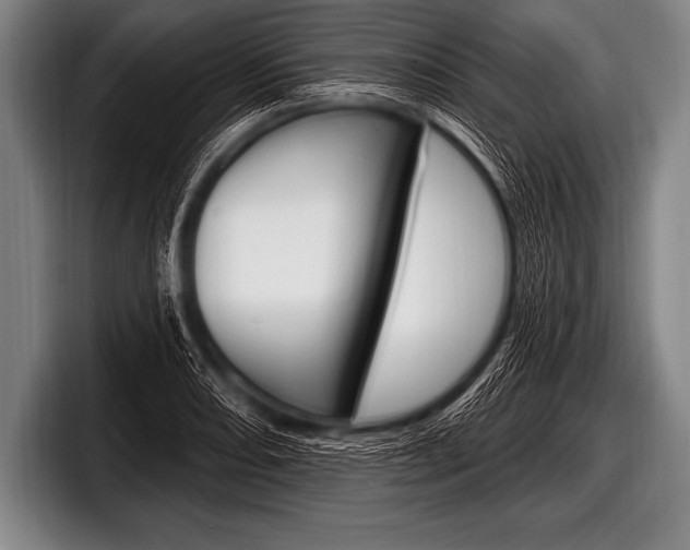 X0000098131082200804171054