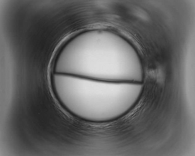 X0000098131083200804171054