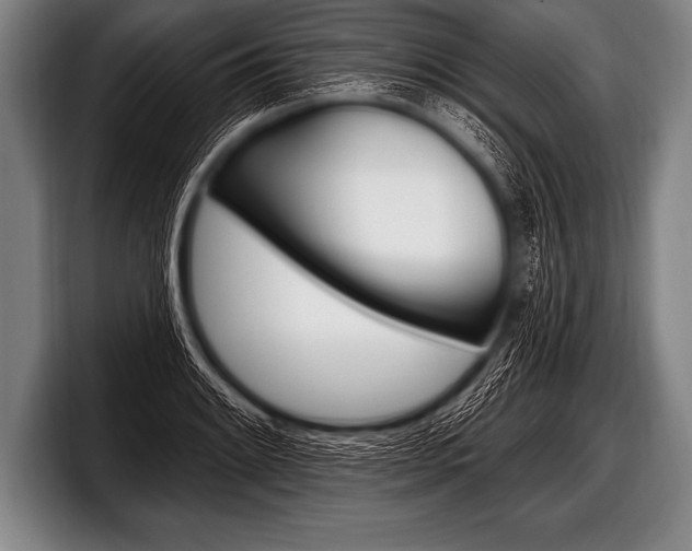 X0000098131084200804171054