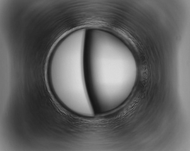 X0000098131085200804171054