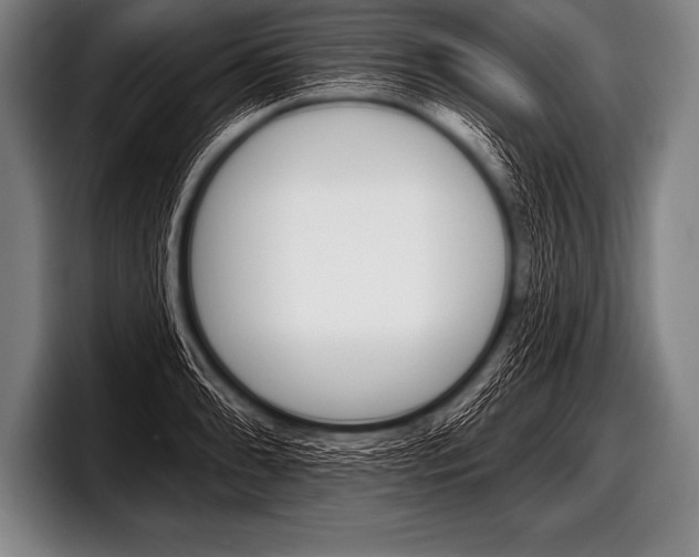 X0000098131086200804171054
