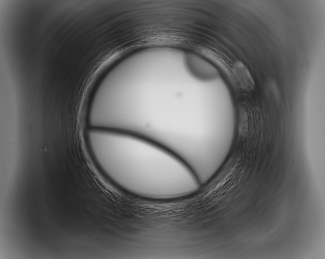 X0000098131087200804171054