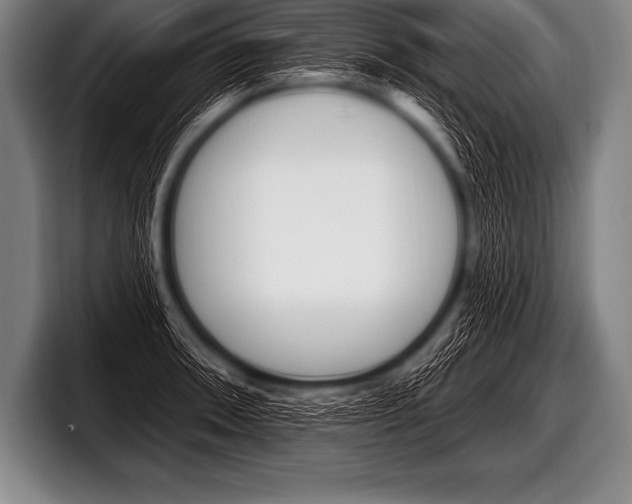 X0000098131090200804171054