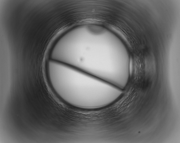 X0000098131091200804171054