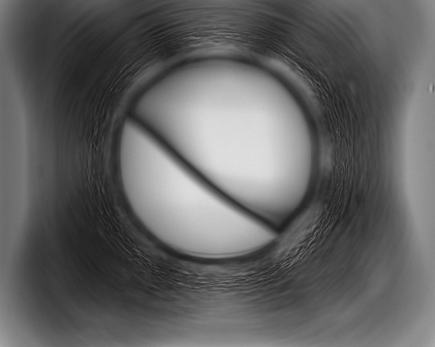 X0000098131097200804171054