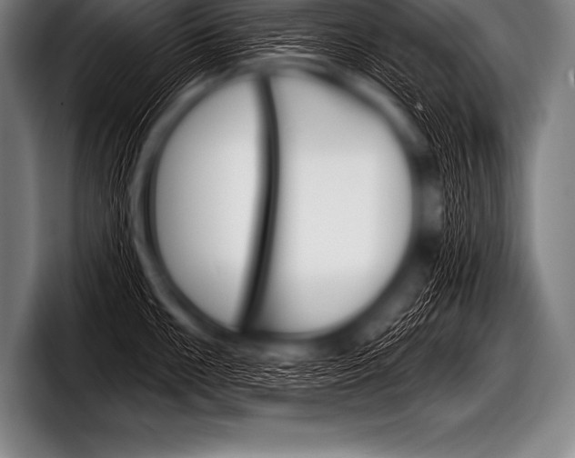 X0000098131099200804171054
