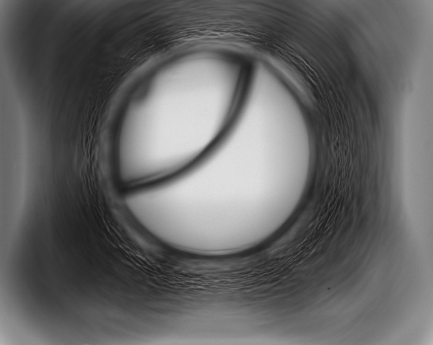 X0000098131102200804171054