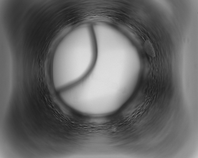 X0000098131103200804171054