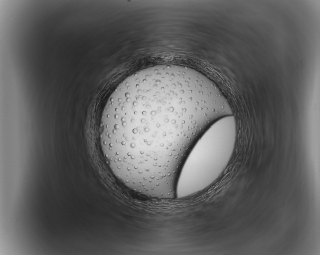X0000098131105200804171053