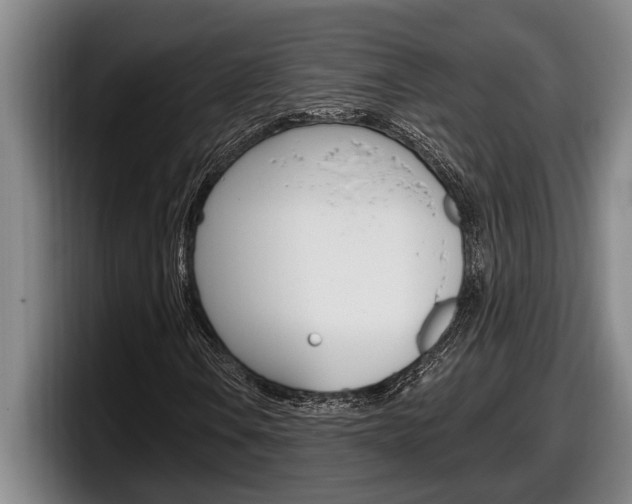X0000098131106200804171053