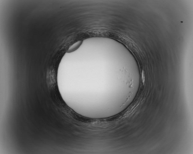 X0000098131107200804171053