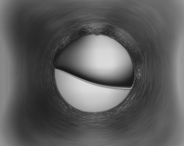 X0000098131108200804171053