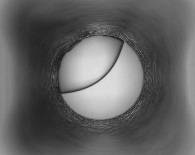 X0000098131109200804171053