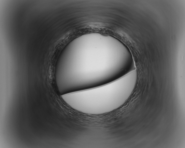 X0000098131110200804171053