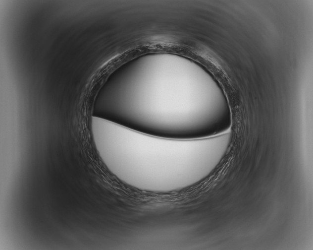 X0000098131112200804171053