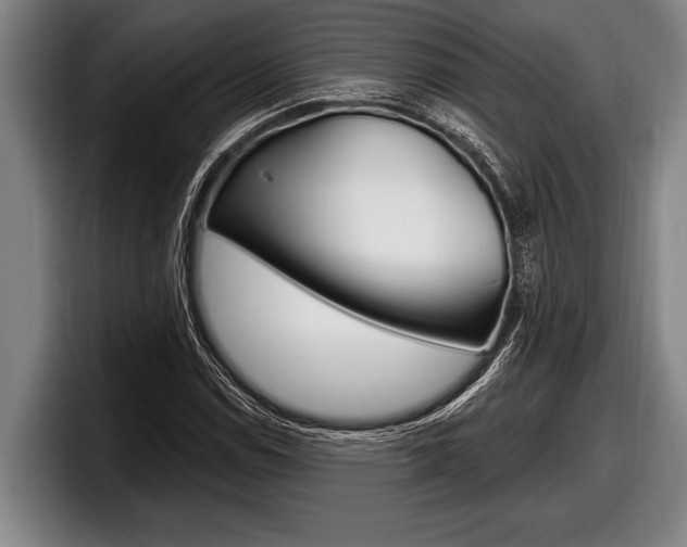 X0000098131114200804171053