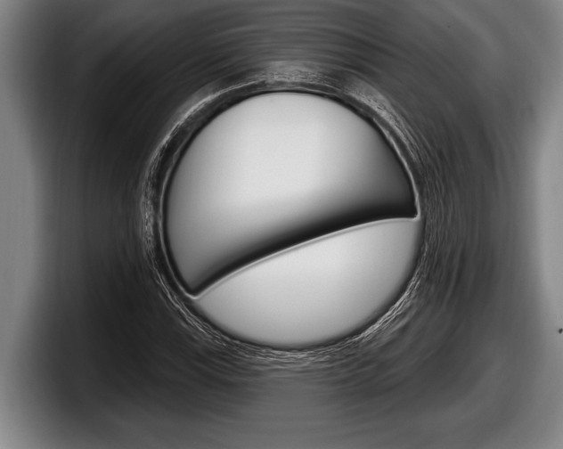X0000098131115200804171053