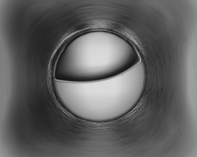 X0000098131116200804171053