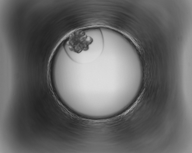 X0000098131118200804171053