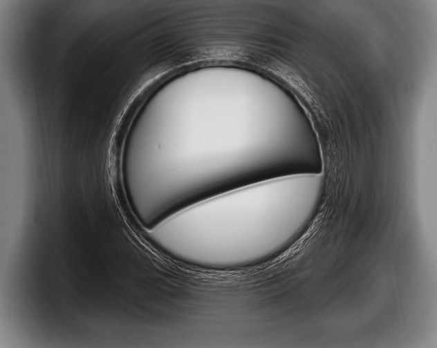 X0000098131119200804171053