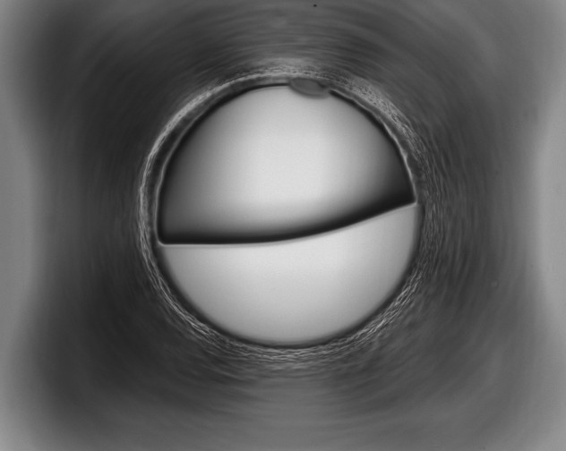 X0000098131120200804171053