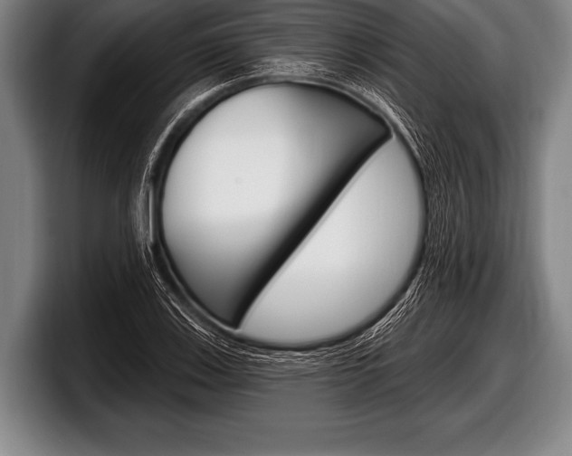 X0000098131123200804171053