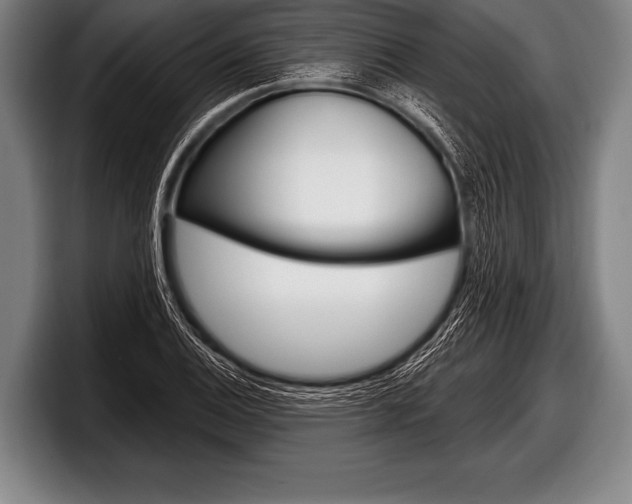 X0000098131124200804171053