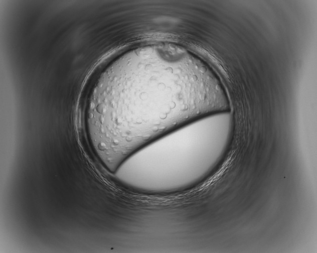 X0000098131125200804171053