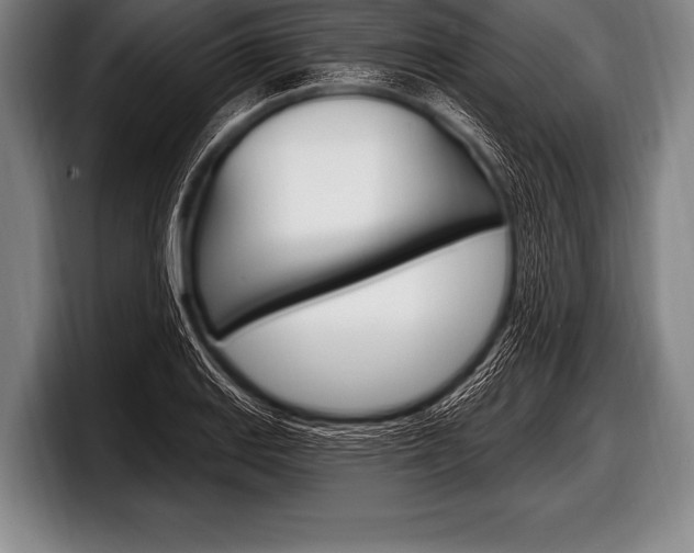 X0000098131127200804171053