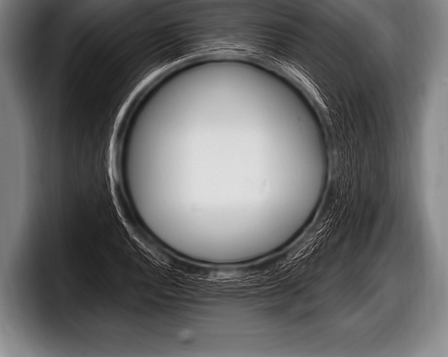 X0000098131128200804171053