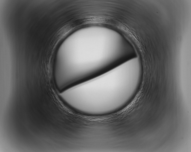 X0000098131129200804171053