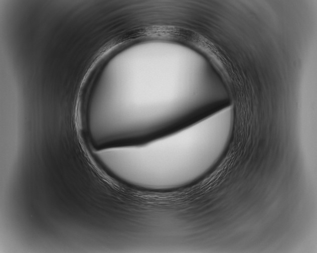 X0000098131131200804171053