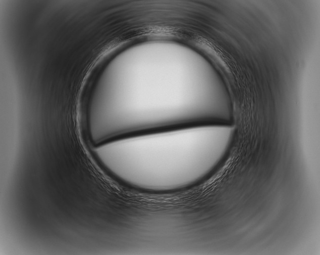X0000098131133200804171054