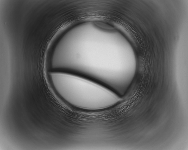 X0000098131139200804171054