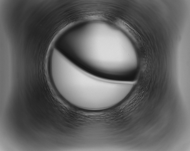 X0000098131140200804171054