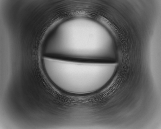 X0000098131141200804171054