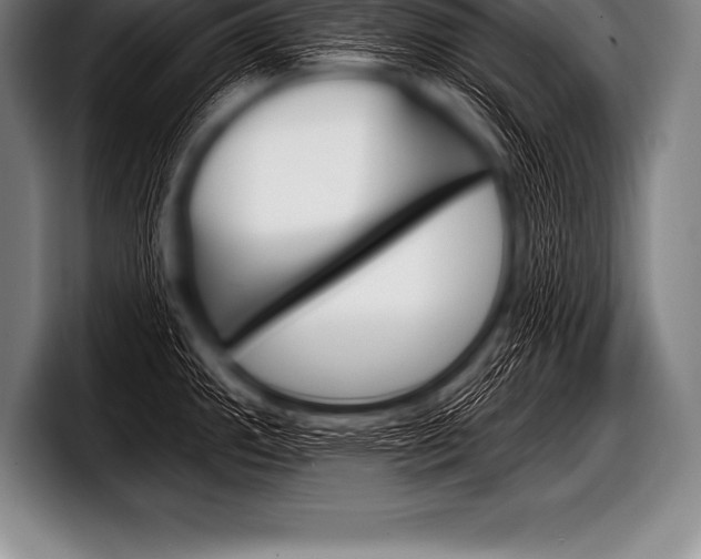 X0000098131143200804171054