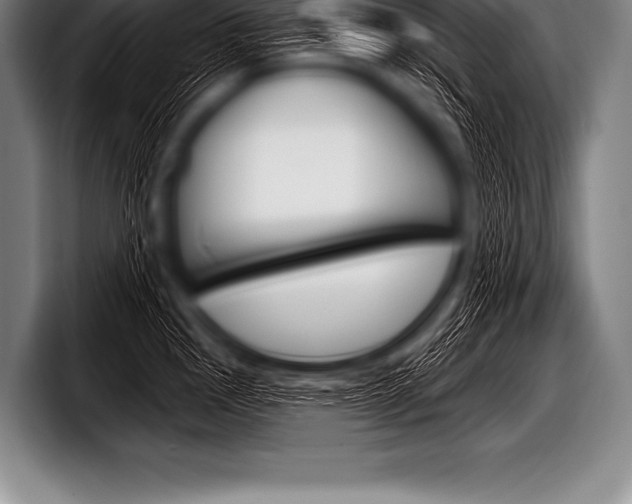 X0000098131145200804171054