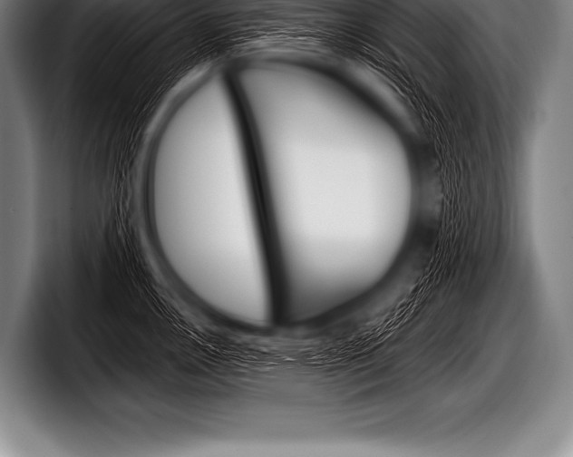 X0000098131146200804171054