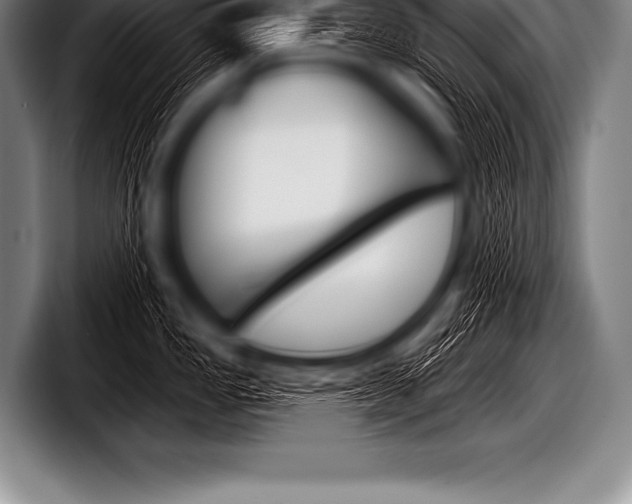 X0000098131149200804171054