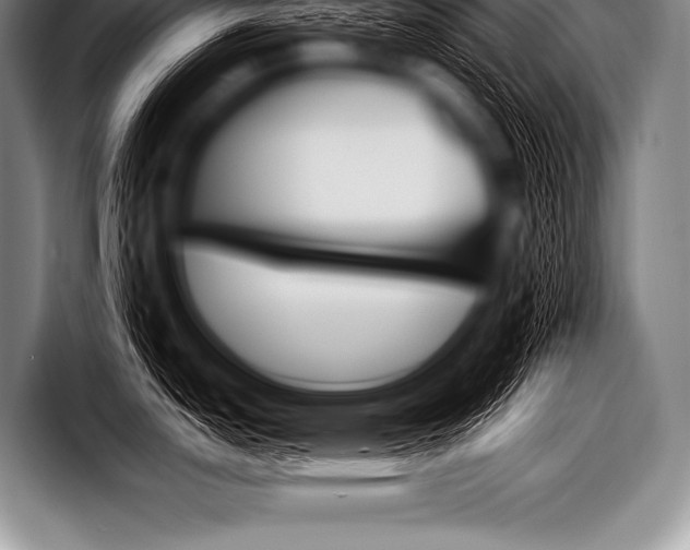 X0000098131151200804171054